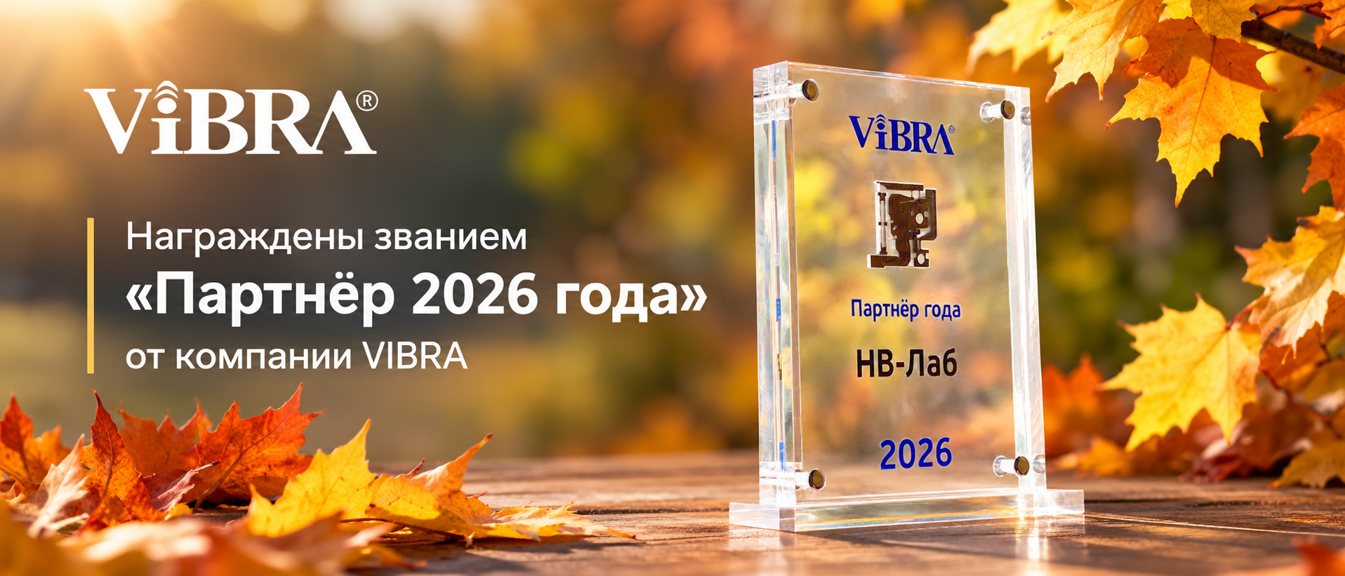 НВ-Лаб — «Партнёр 2026 года» ViBRA НВ-Лаб — «Партнёр 2026 года» ViBRA